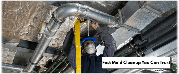 Air Duct Mold Removal in Katy