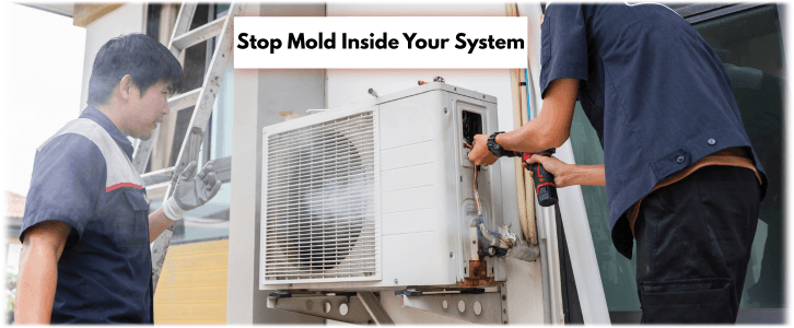 HVAC Mold Removal Katy